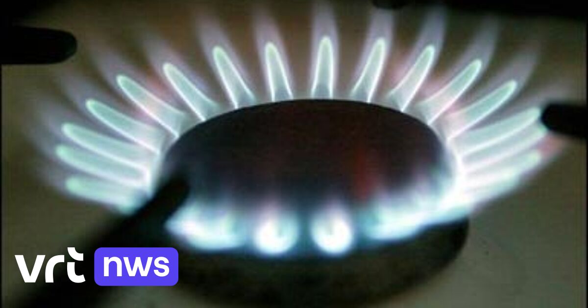 La consommation de gaz naturel des ménages et des PME a baissé de 25