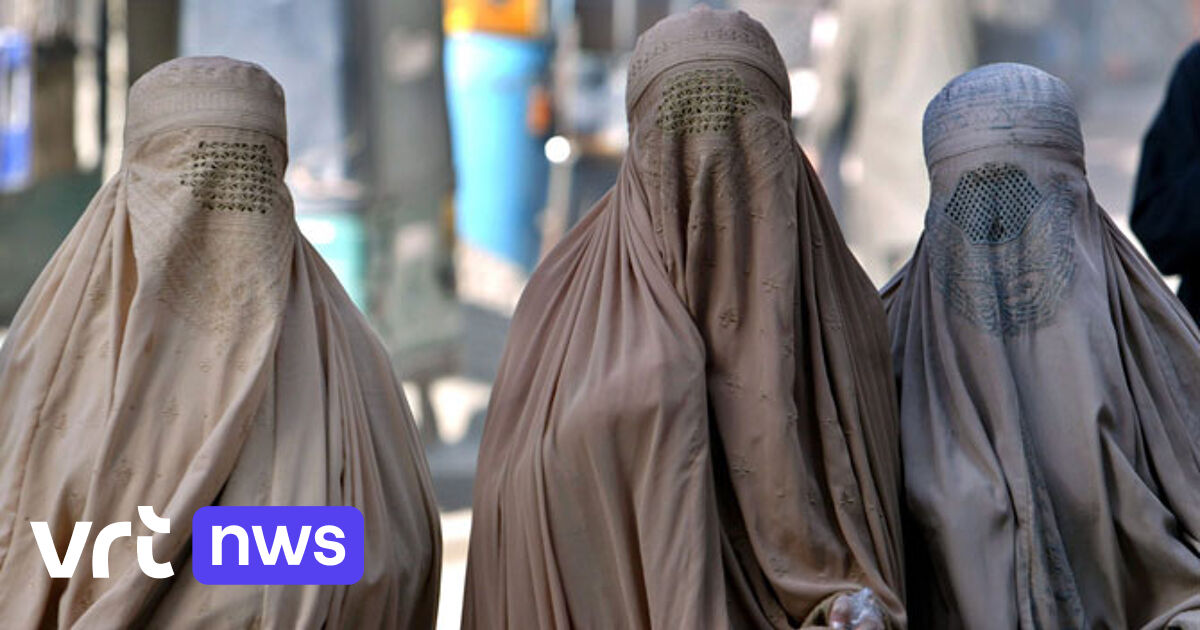 Gezichtsbedekkende kleding verboden vanaf 23 juli | VRT NWS: nieuws