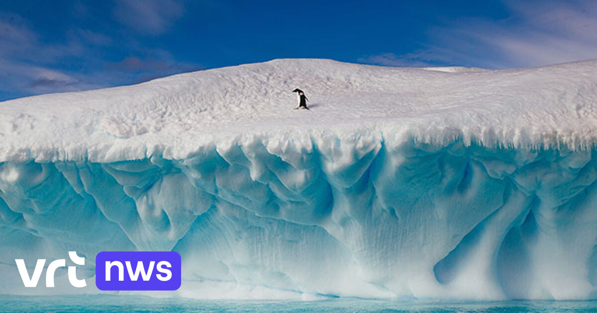 Waarom is de Noordpool sneller aan het smelten dan de Zuidpool? | VRT