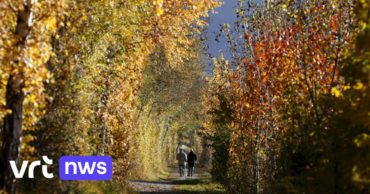De herfst begint (nu pas) | VRT NWS: nieuws