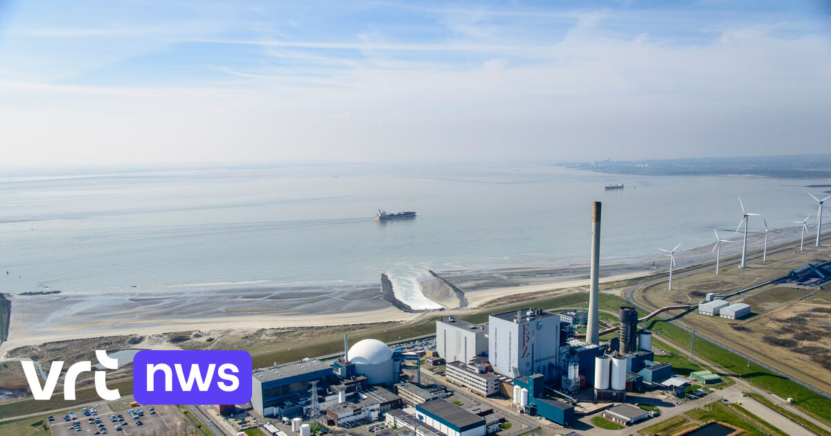 I Paesi Bassi vogliono costruire due nuove centrali nucleari a Borreli, vicino al confine belga