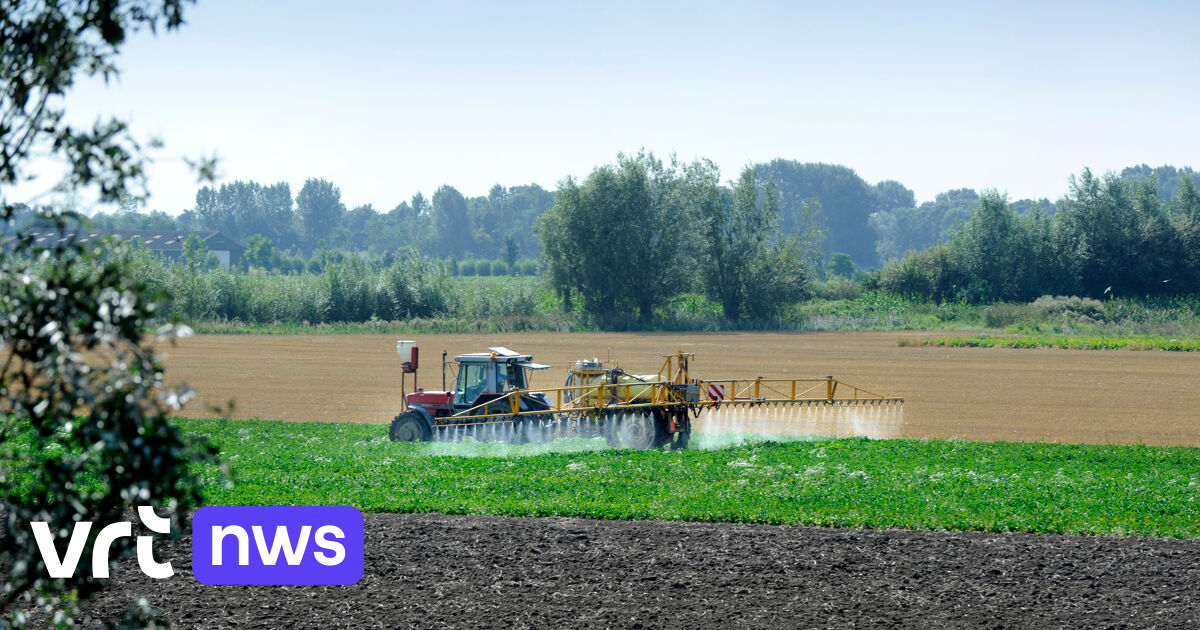 Gent gaat in cassatieberoep in zaak rond verkochte gronden aan Huts: “Arrest is praktisch onuitvoerbaar”