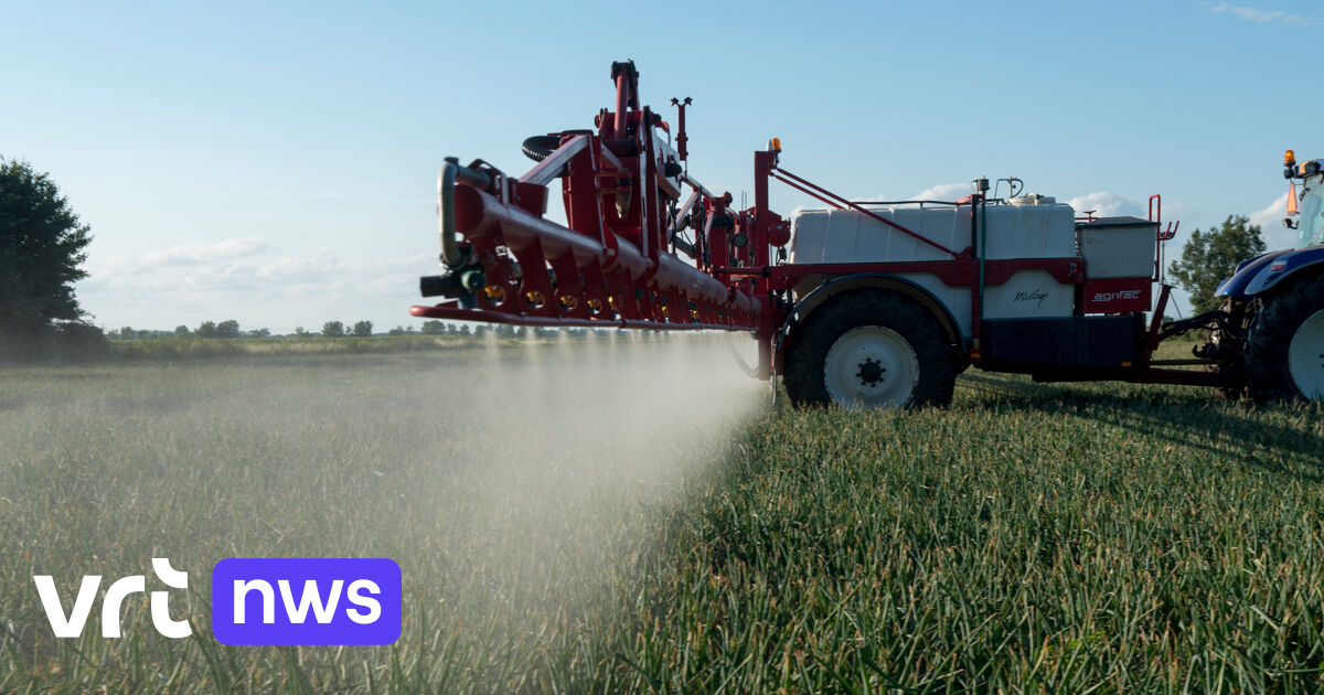 Europe extends the permit of controversial weedkiller glyphosate by 10 years