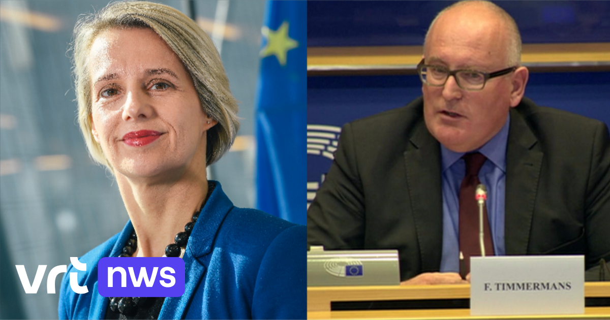Vicevoorzitter Timmermans tegen N-VA-parlementslid Stevens: "Uw