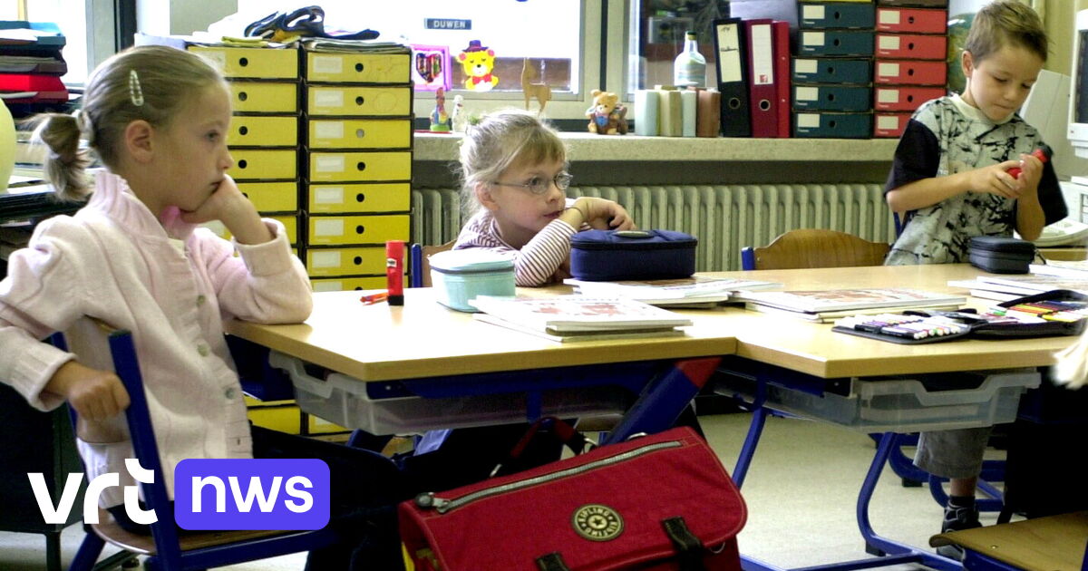 Directeurs basisscholen: "De vlieger gaat niet langer op" | VRT NWS: nieuws