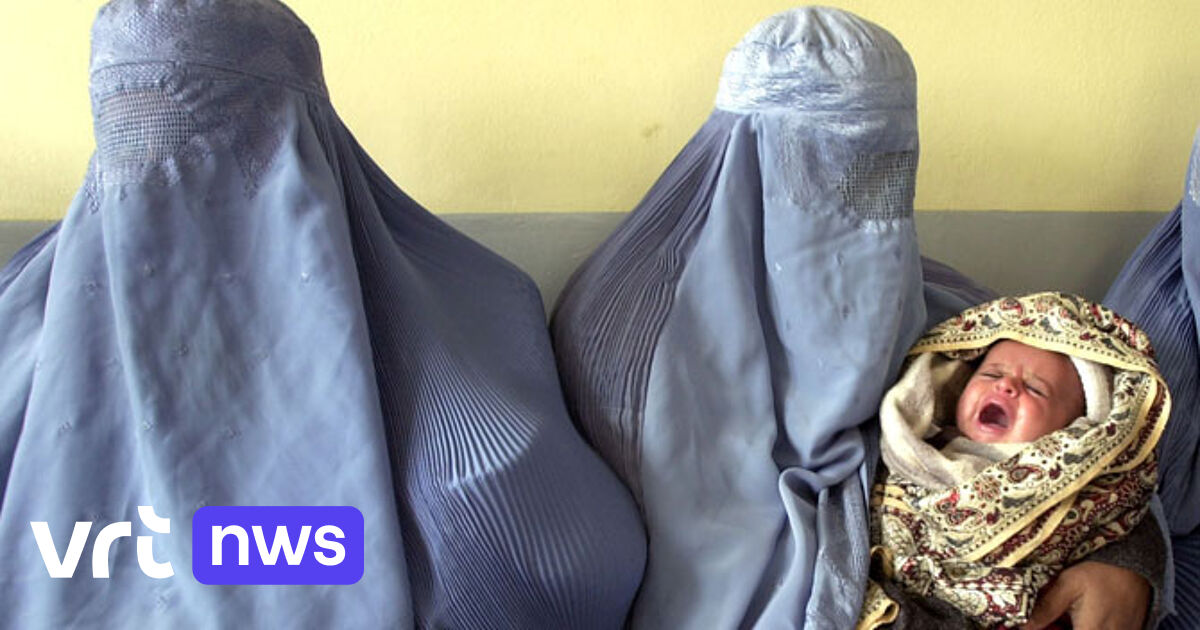 Bald Burka Verbot In Der Öffentlichkeit Vrt Nws Nachrichten