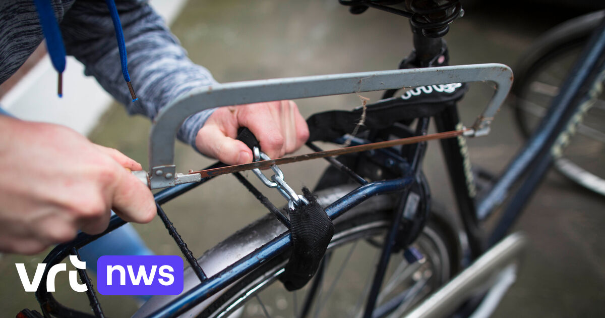 Allemaal scherp Oppervlakkig Man (23) uit Turnhout probeert gestolen bakfiets tweedehands te verkopen:  nog 6 gestolen fietsen gevonden bij huiszoeking | VRT NWS: nieuws