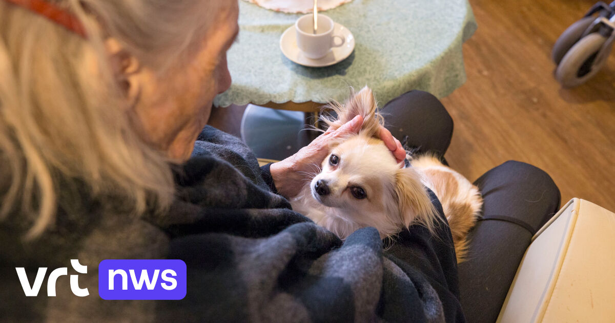 Leuvense Studenten Vanaf Volgend Schooljaar Op Kot Boven Rusthuis In