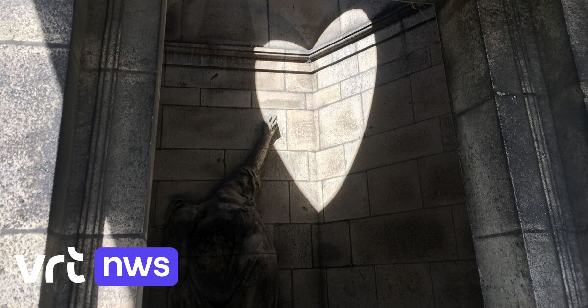 Once a year a heart appears at Laken Cemetery | VRT NWS: news