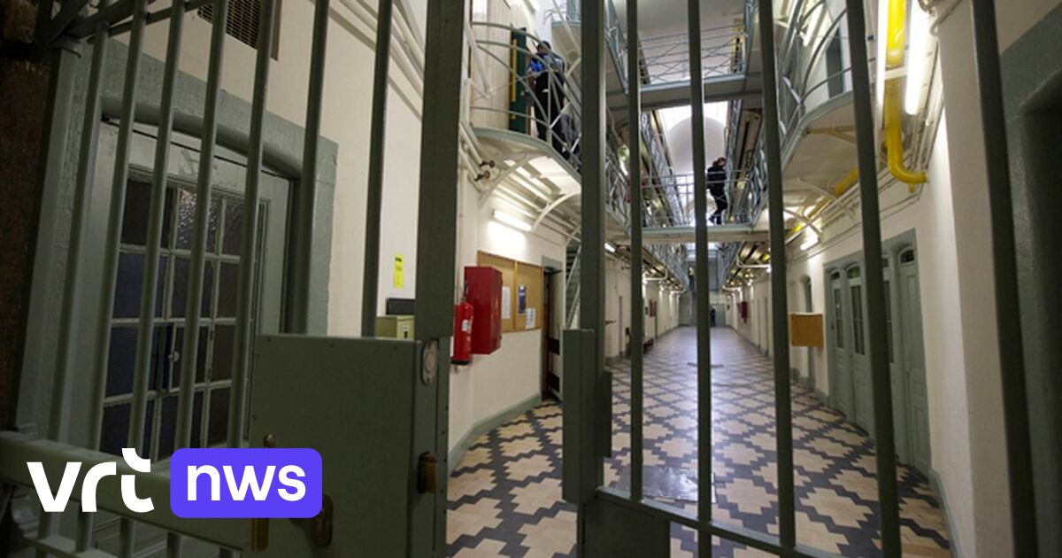 New aliens law 195 foreigners lose residence permit VRT NWS news