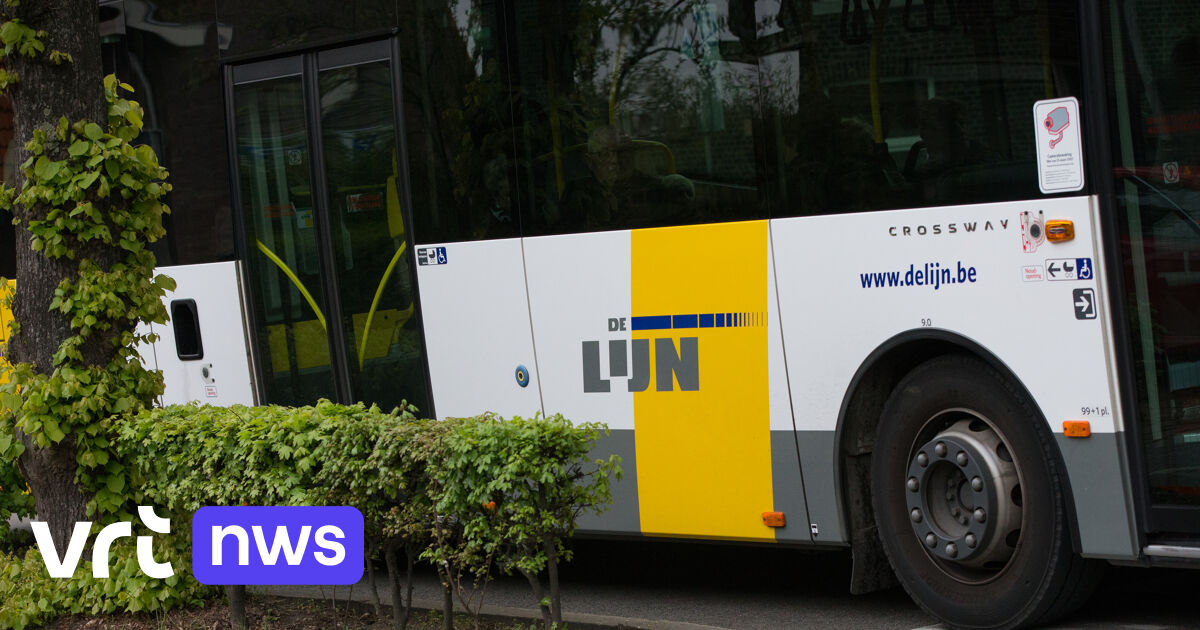 In werkelijkheid Gemengd Interactie Strike hits bus services between Leuven and Brussels | VRT NWS: news