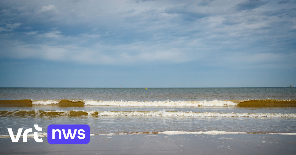 Ook Recordtemperaturen In De Noordzee: Zeewater Was Nog Nooit Zo Warm | Vrt  Nws: Nieuws