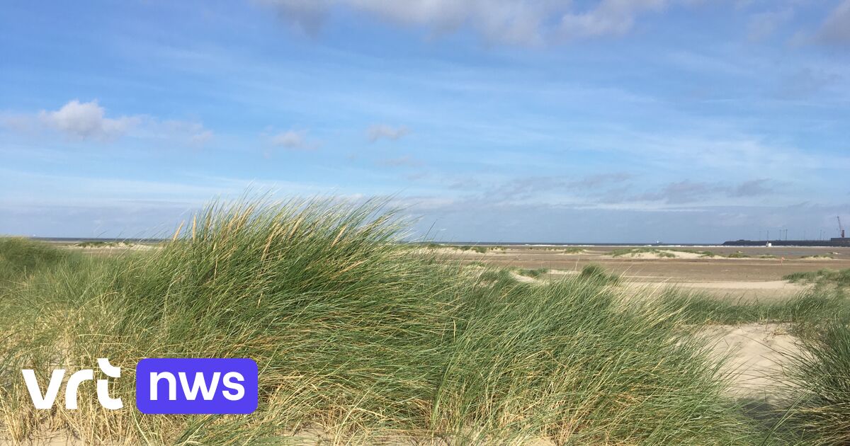 Rechnungshof: „Schwächste Stellen der belgischen Küste unzureichend vor Überschwemmungen geschützt“