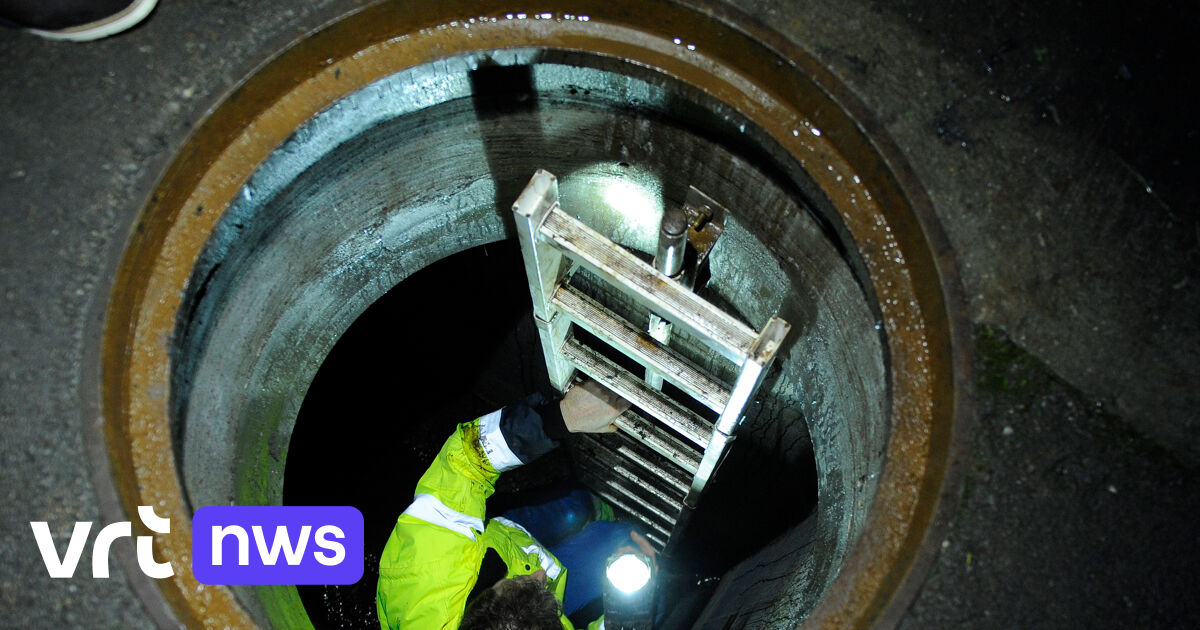 Brussels workmen find gold bars down the sewer