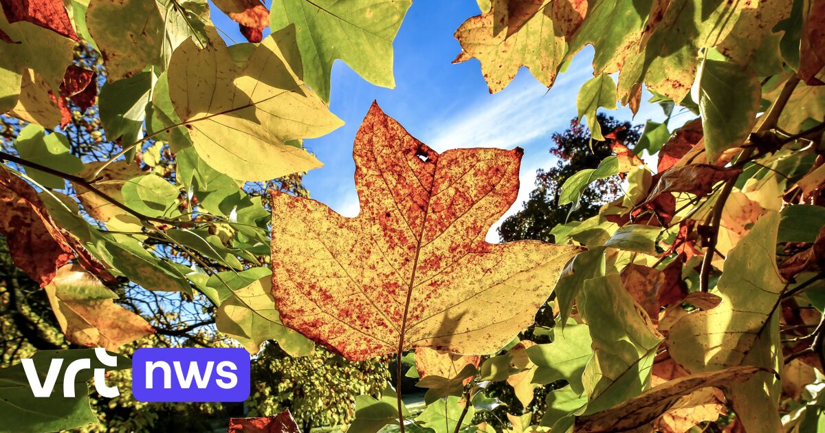 Spring temperatures on the way, in the middle of the extended autumn holiday