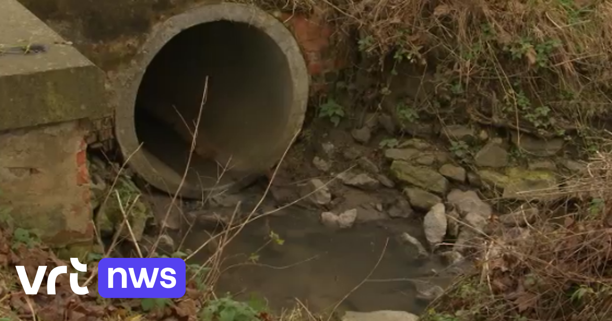 No sewage system in your neighborhood yet?  Flemish minister Demir is earmarking 158 million for connection