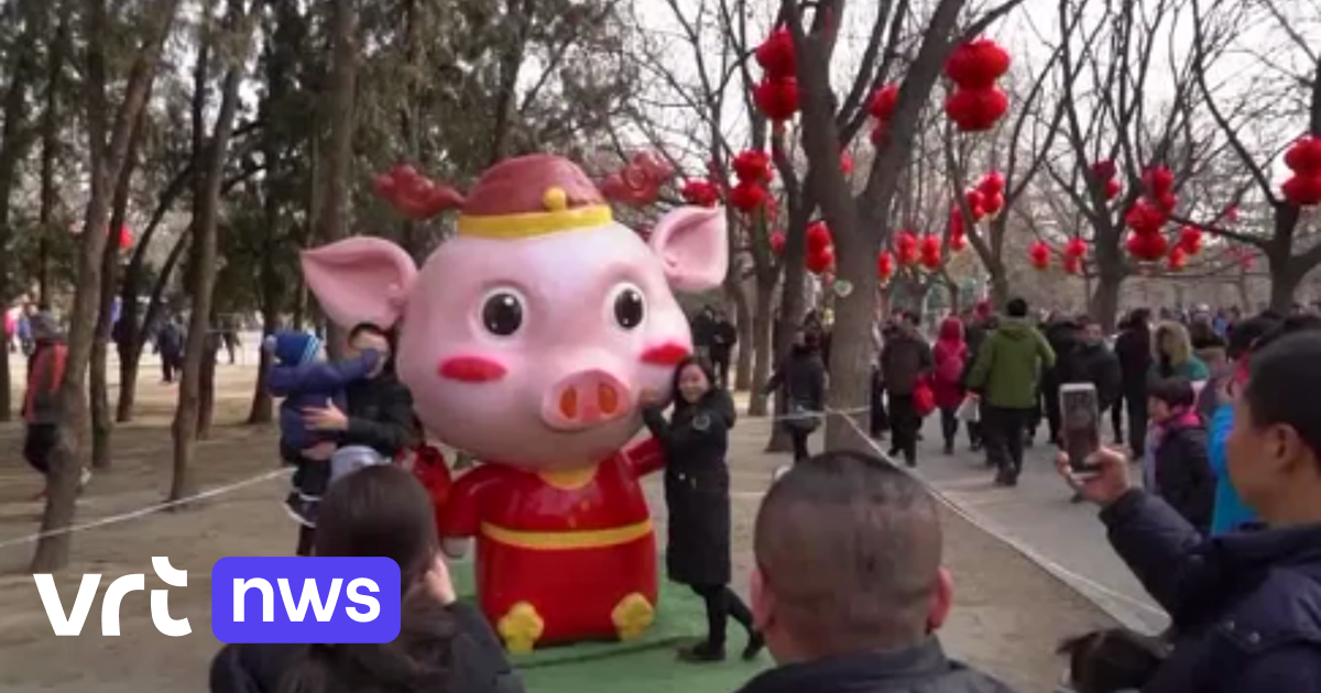 Het Jaar van het Varken is feestelijk ingezet in China en ver