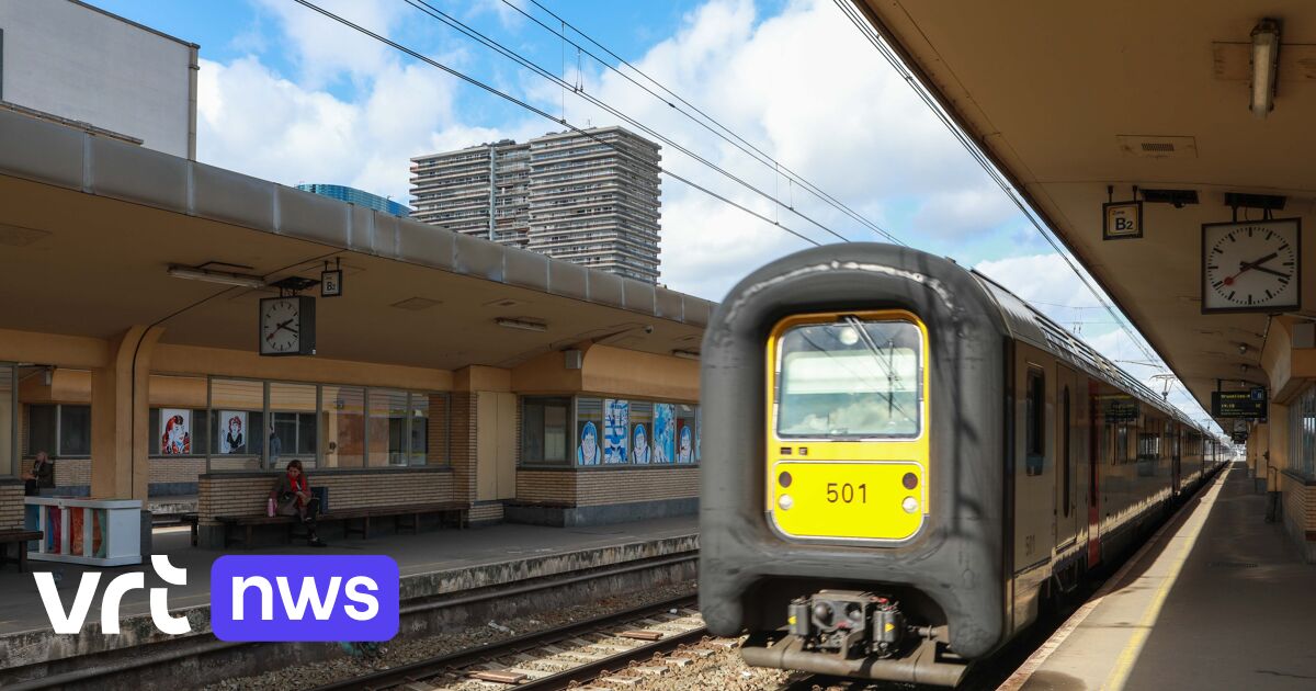 Train surfer falls to his death at Brussels North Station