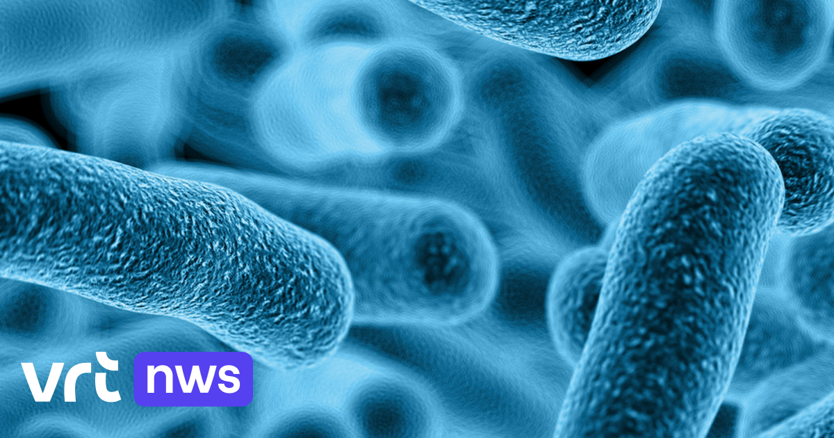 Legionella bacteria at Albertstroom in Grobbendonk: 12 people infected in a large area, 1 died