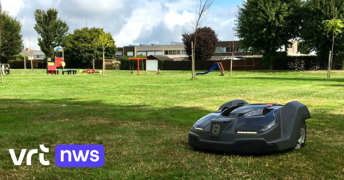 Wallonia bans robot lawn mowers at night to protect hedgehogs