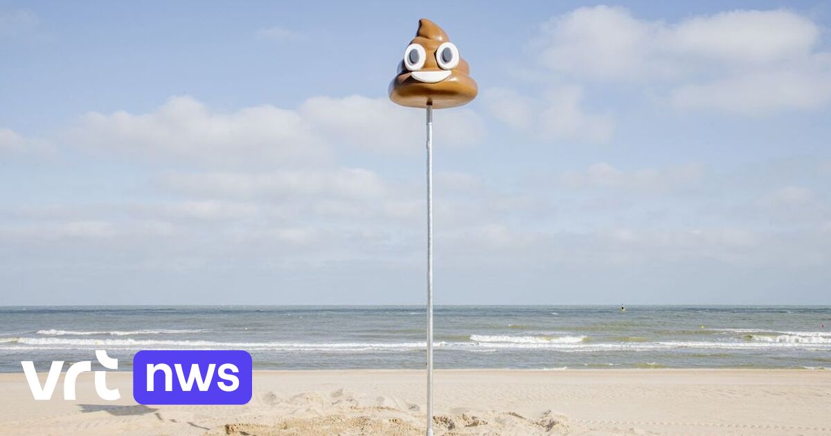 Smiling turd theft: thieves will help to clean up the beach