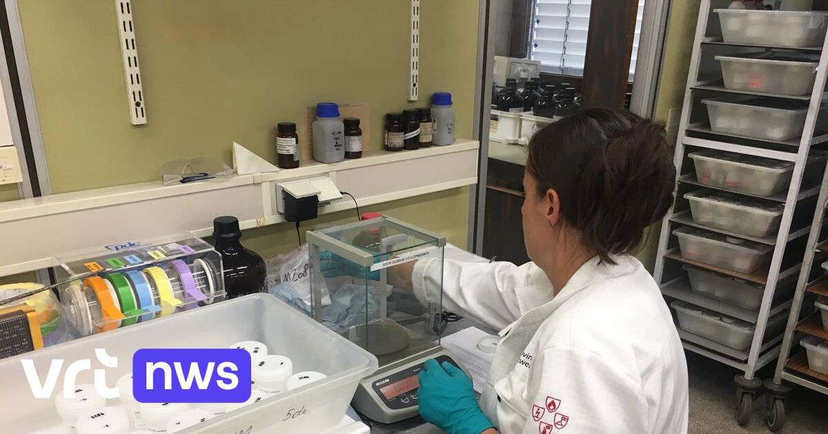 Belgien: Frauenbewegungen fordern Anpassung der Rentenreform – Frauen seien darin benachteiligt