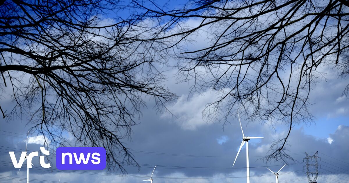 Ondanks de storm zullen de windturbines in Limburg gewoon blijven