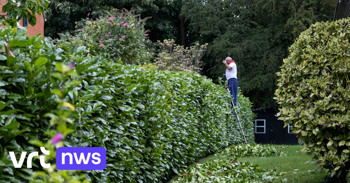 Wijk-werken Maasland zoekt dringend nieuwe tuinmannen: 