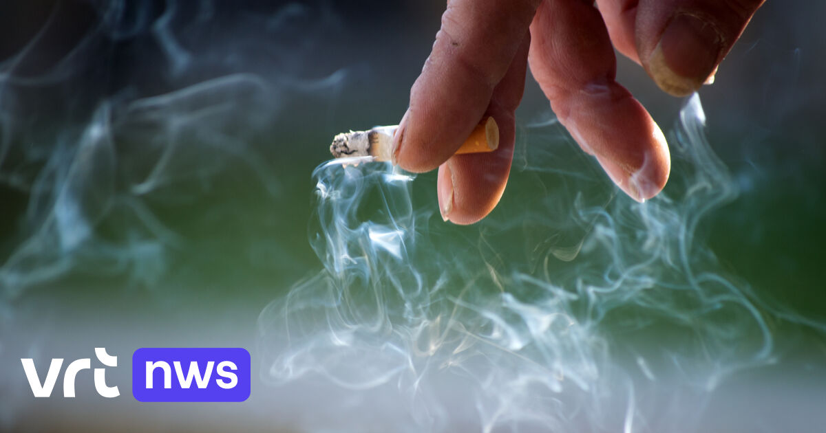 Roken vanaf 2025 verboden in speeltuinen, attractieparken en op andere ...