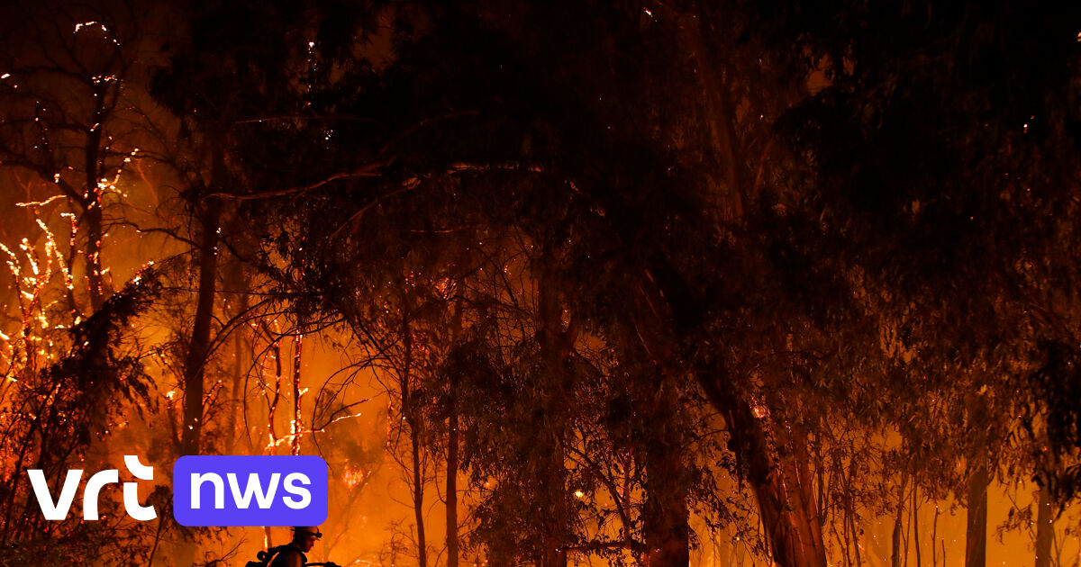 California wildfires threaten dozens of wine estates