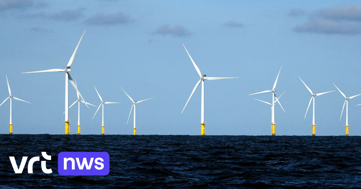 Grootste groene-waterstoffabriek van Benelux komt in Oostende