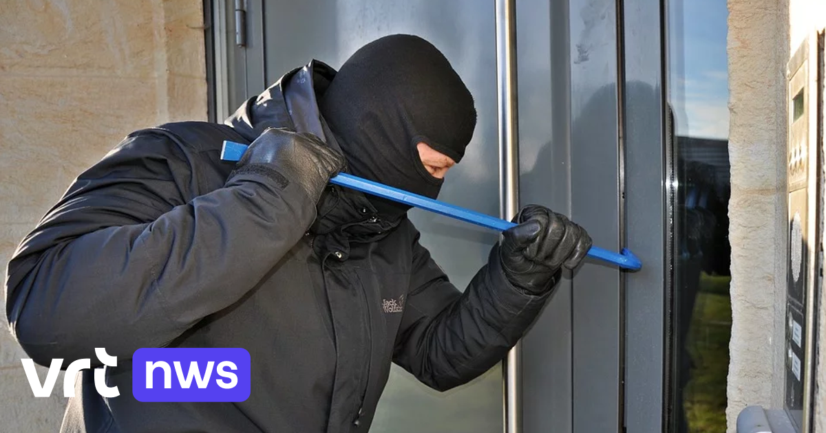 Politie pakt 2 mannen op voor verschillende diefstallen in Mechelen en Willebroek