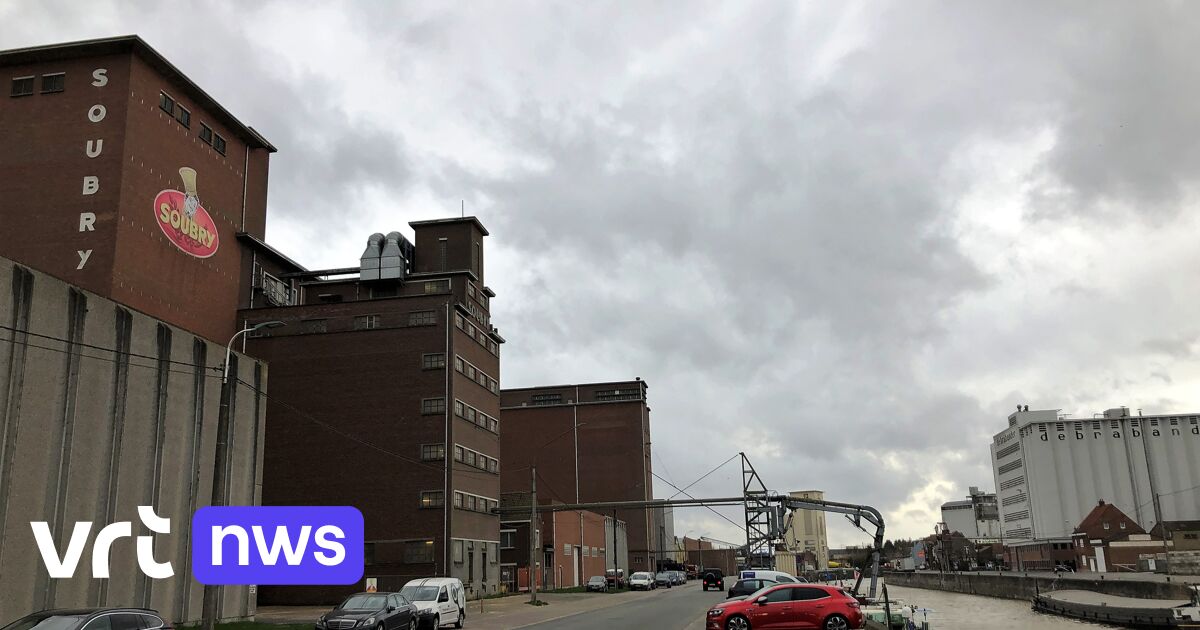 Beschäftigungspolitik in Belgien: Neues Abkommen zur Erleichterung der Beschäftigung von Wallonen in Flandern