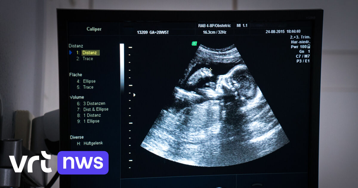 Abortus tot 18 weken zwangerschap stap dichterbij na advies Raad van