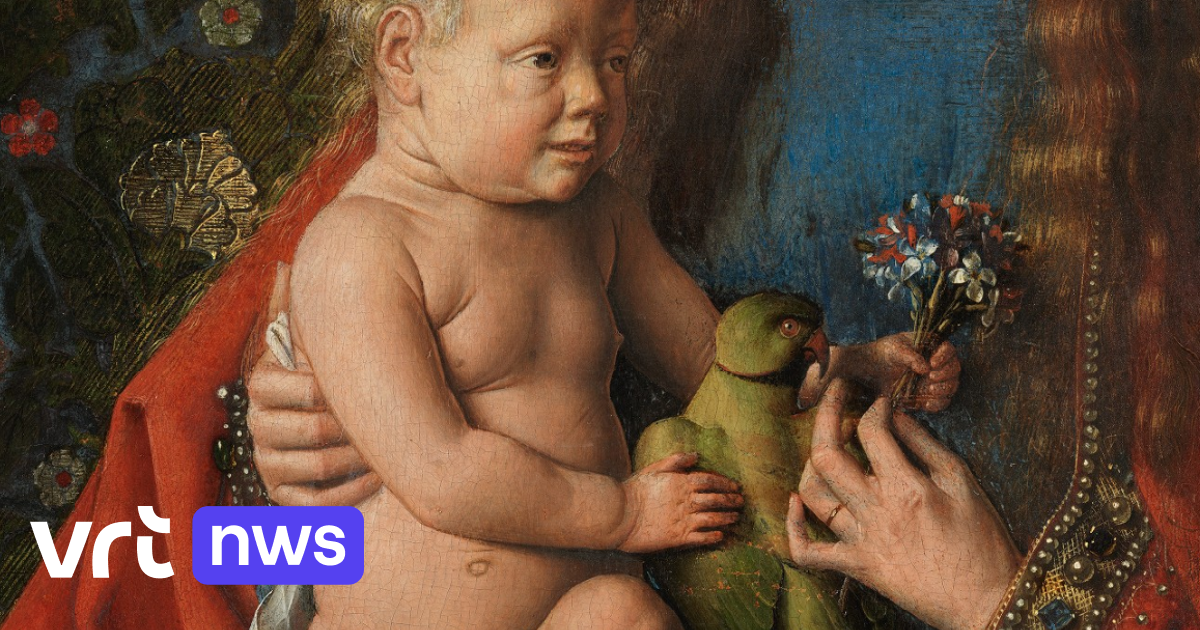Van Eyck Schittert Ook In Brugge In Een Huiselijke Sfeer Vrt Nws Nieuws