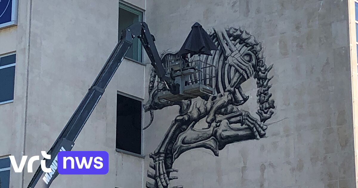 Wereldberoemde street artist ROA maakt immense skeletten op het nieuwe Universiteitsmuseum in Gent - VRT NWS