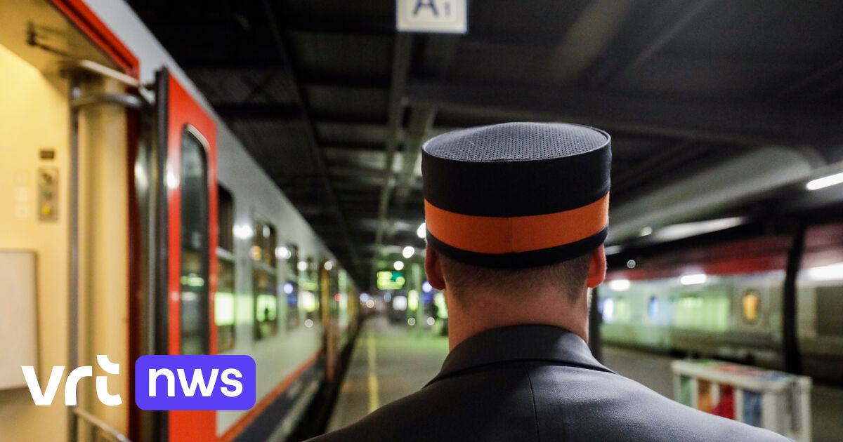 Zwartrijder die 136 keer betrapt werd op de trein, krijgt ...