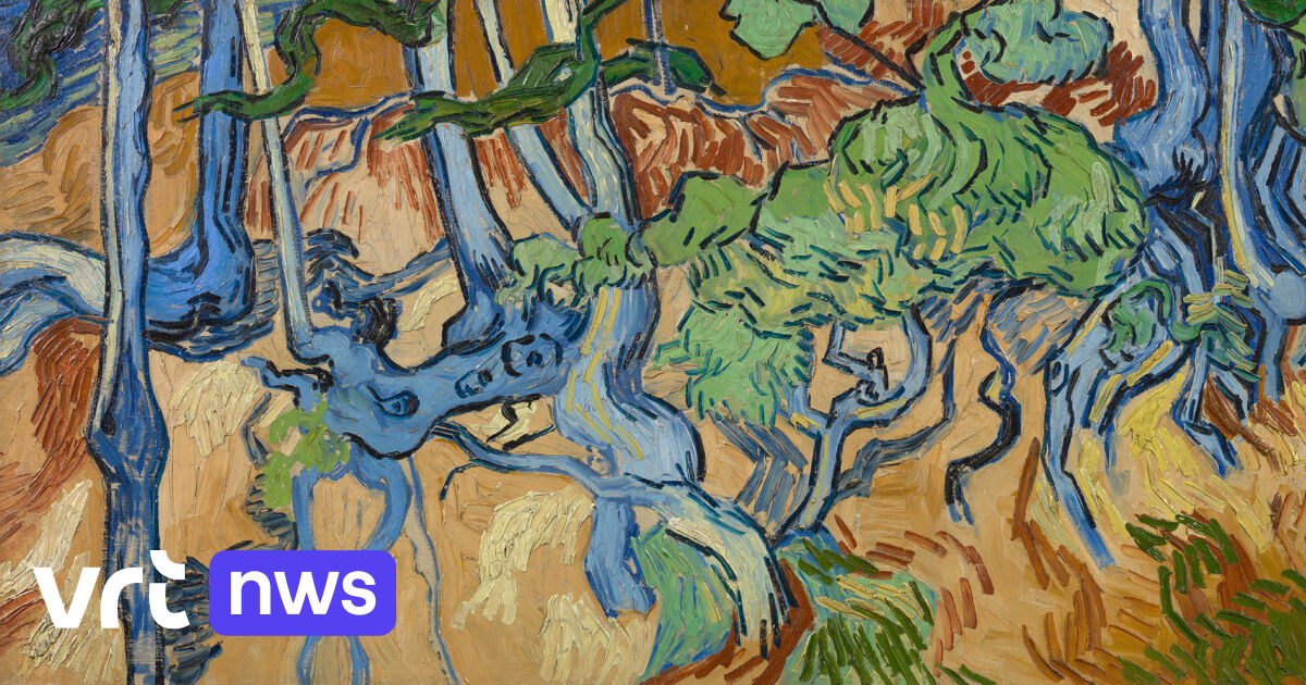 Plek ontdekt waar kunstenaar Vincent van Gogh zijn laatste werk maakte - VRT NWS