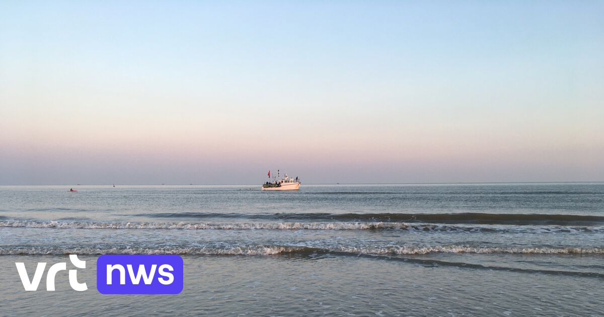 After 67 kilometers and almost 24 hours: Matthieu Bonne (from Kamp Waes) is the first ever to swim the entire Belgian coast