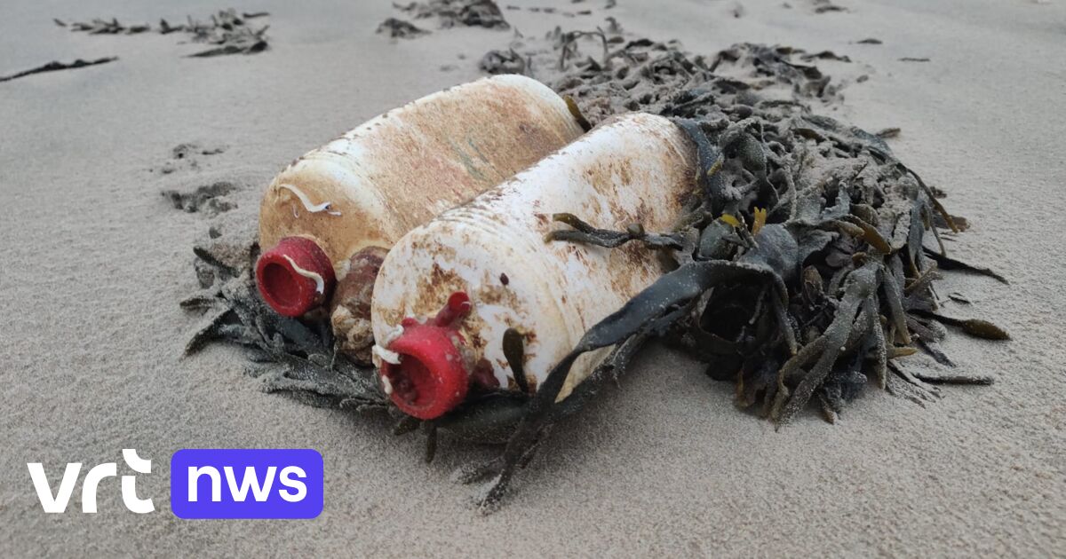 More than 1,000 bottles of motor oil washed up on the beach after 54 years (and storm Odette may have something to do with that)