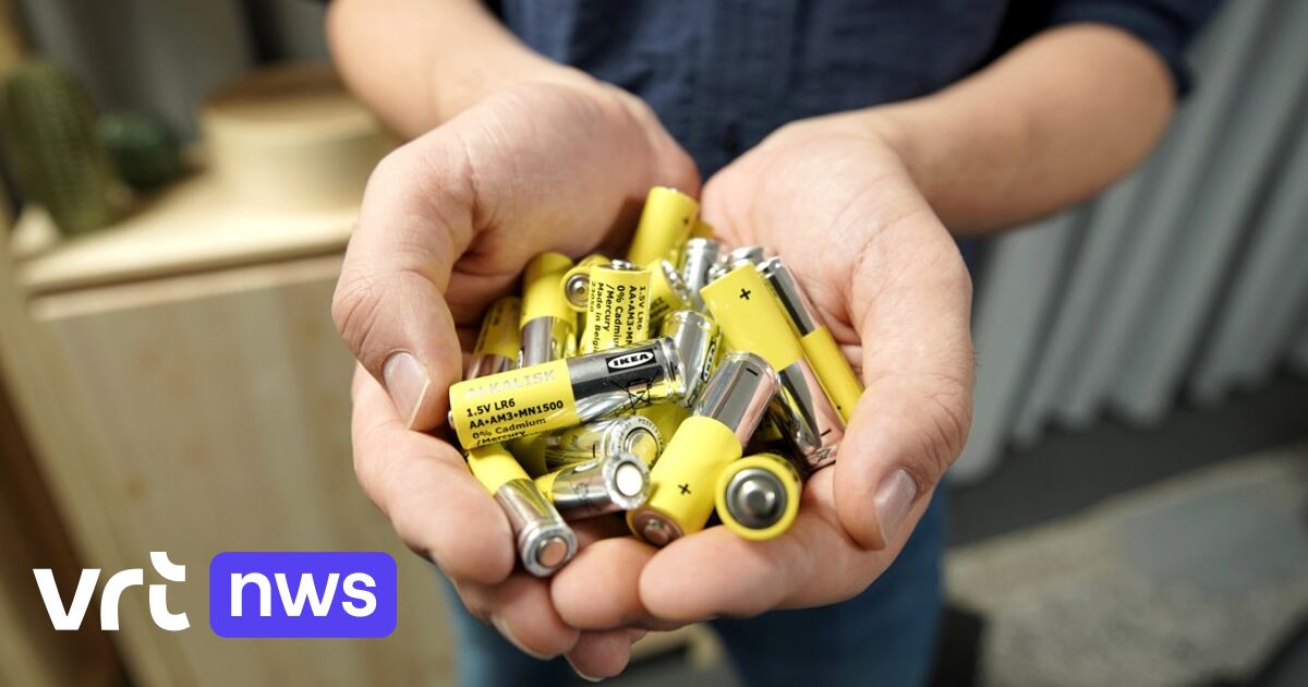 Darmen lila worm Ikea haalt (populaire) niet-oplaadbare batterijen uit de winkelrekken:  "Milieu-impact is te groot" | VRT NWS: nieuws
