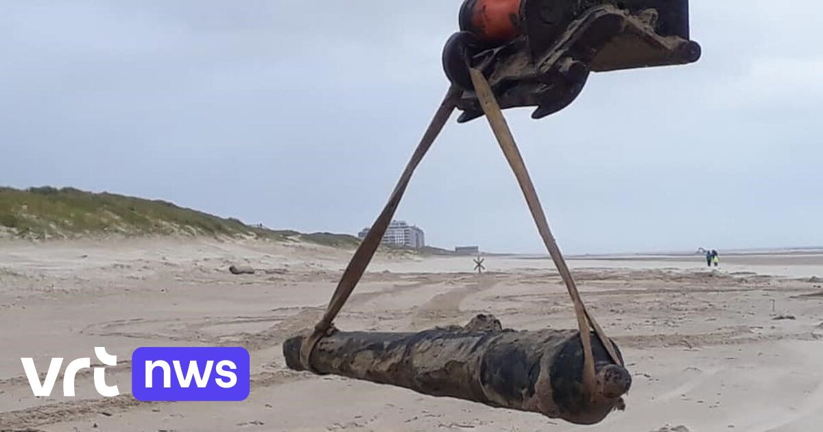 Centuries-old cannon excavated on Wenduine beach: “Probably from a ship that had run aground”