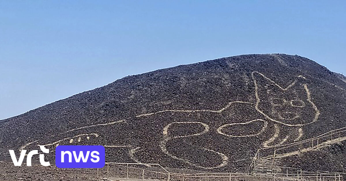 Nazca Valley in Peru reveals new figure: 2,000-year-old cat discovered