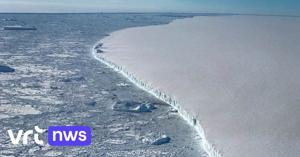 World’s largest iceberg is heading for South Georgia in the South Atlantic Ocean: “Chance of collision is fifty-fifty”