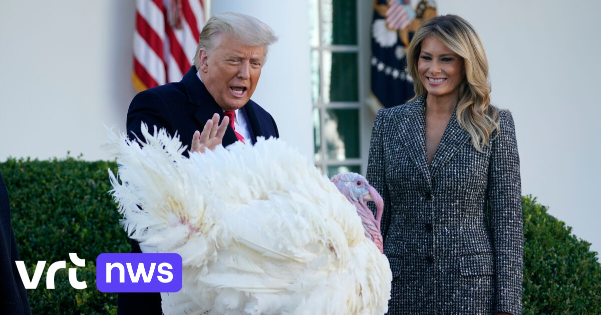 US President Donald Trump pardons turkey Corn on the eve of Thanksgiving