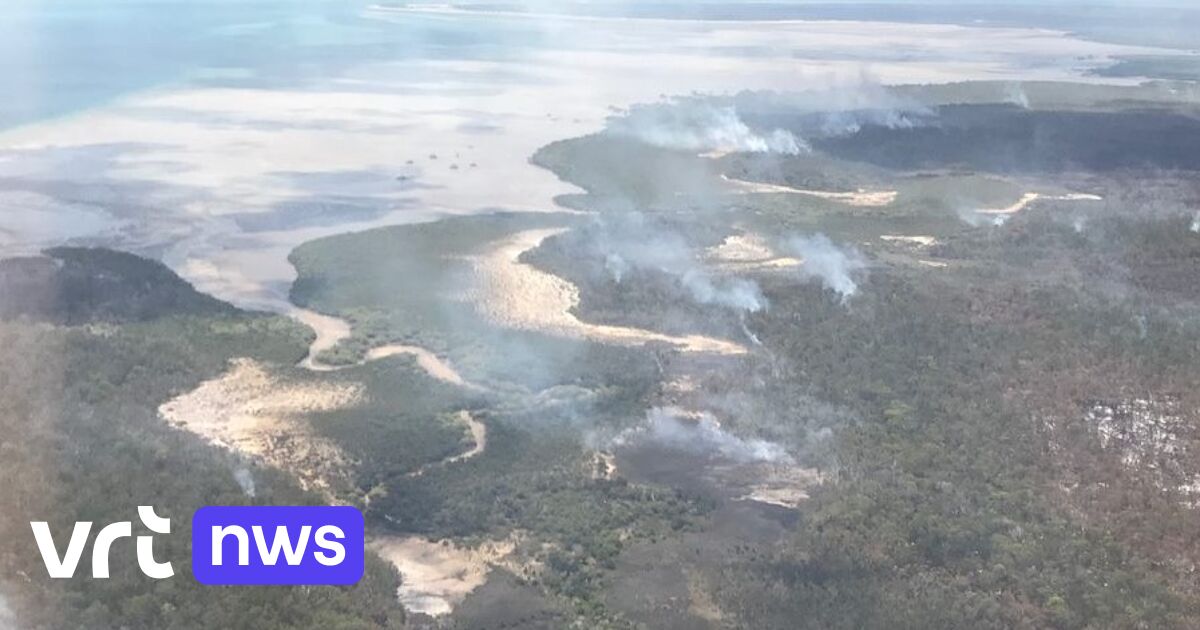 Much of Fraser Island – the largest sand island in the world – was destroyed by forest fires