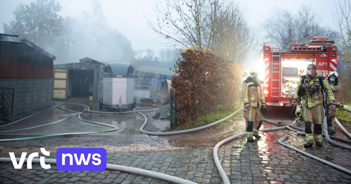 Fire in horse stable Maarkedal: “Not yet clear whether the horses will make it”