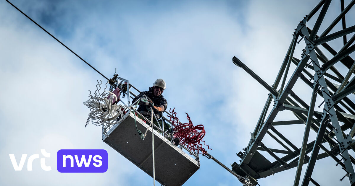 Elia en TenneT versterken elektriciteitsverbinding tussen Kinrooi en het Nederlandse Maasbracht