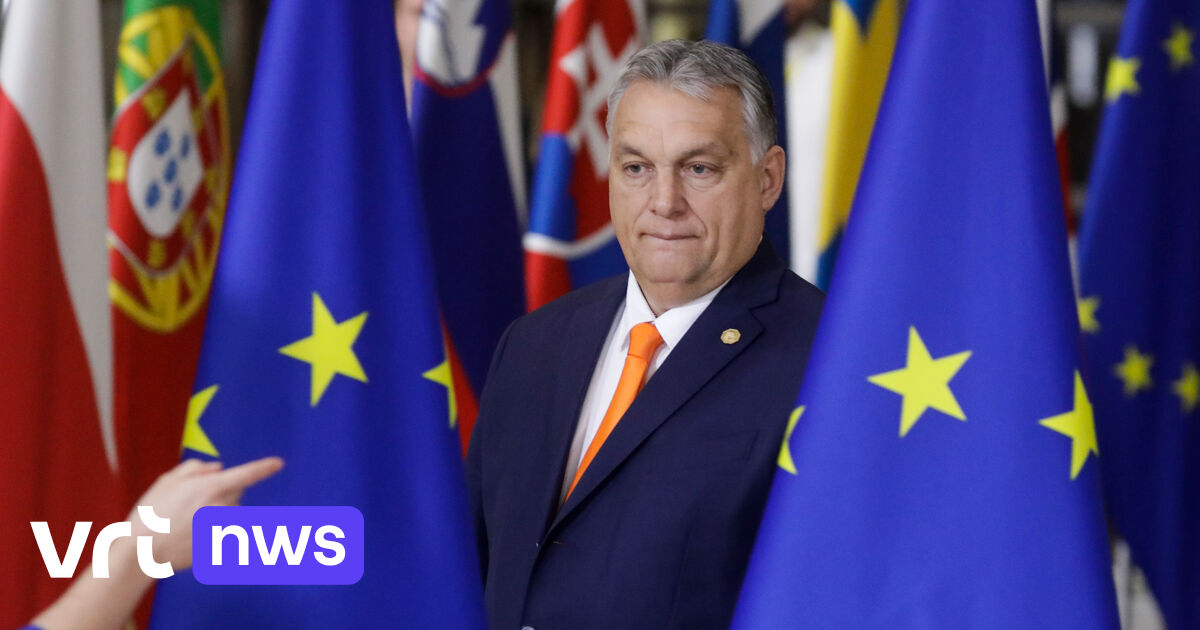 Hongaarse premier Orbán werkt aan nieuwe radicaal-rechtse fractie in ...