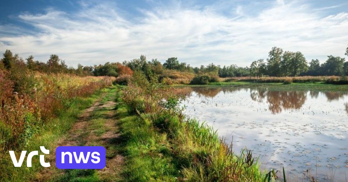 Tonnen CO2 dreigen vrij te komen door uitdroging De Zegge in Geel